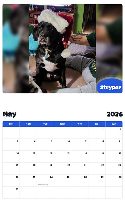 2026 - 2027 Stryper - Pawidols Pet Calendar