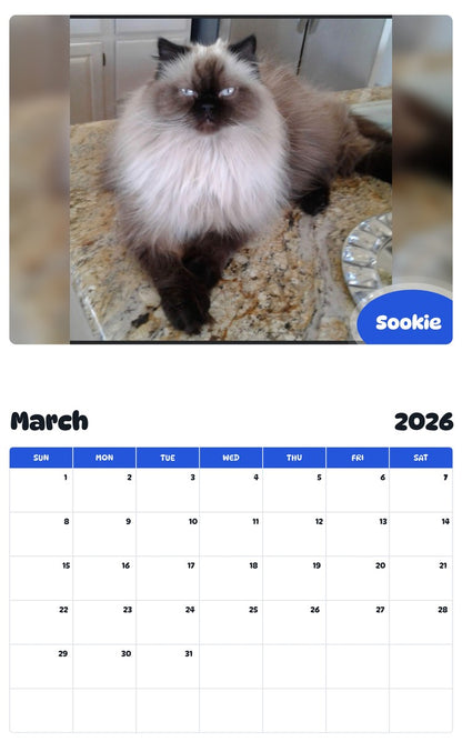 November 2025 - October 2026 Sookie - Pawidols Pet Calendar