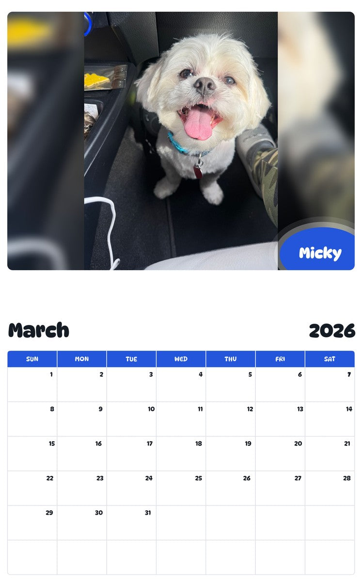 November 2025 - October 2026 Micky - Pawidols Pet Calendar