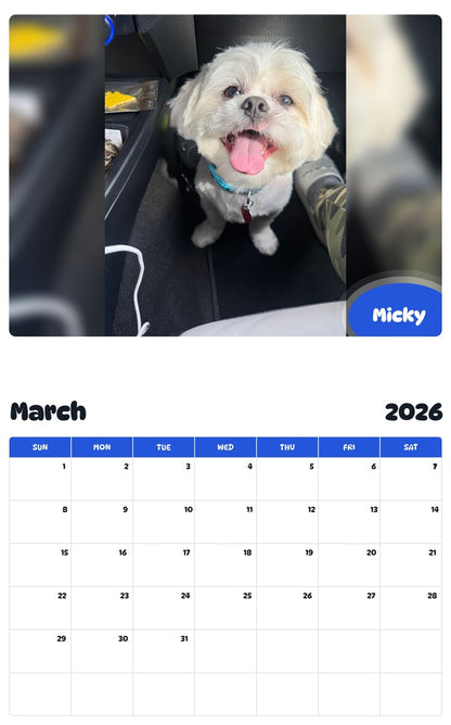 November 2025 - October 2026 Micky - Pawidols Pet Calendar