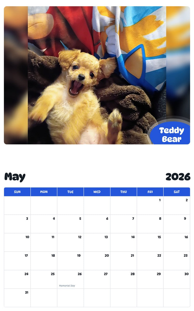 2026 - 2027 Teddy Bear - Pawidols Pet Calendar
