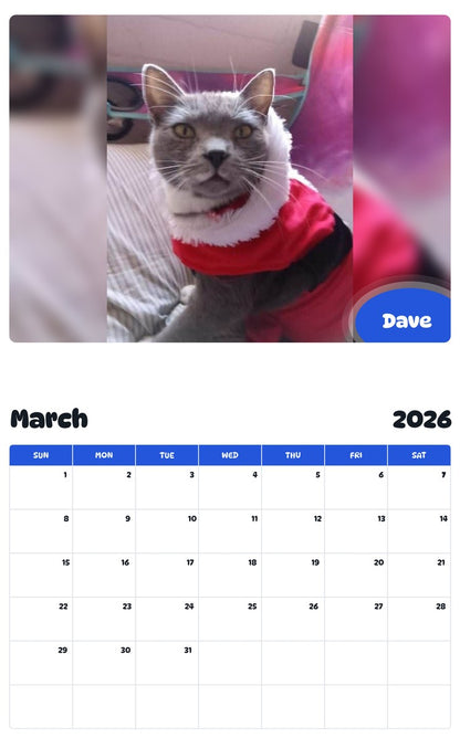 November 2025 - October 2026 Dave - Pawidols Pet Calendar