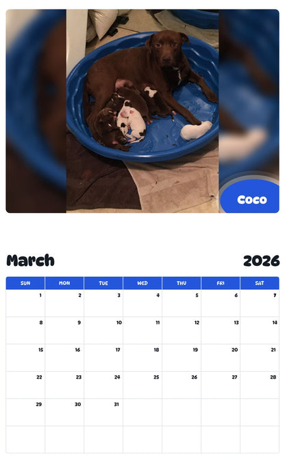 November 2025 - October 2026 Coco - Pawidols Pet Calendar