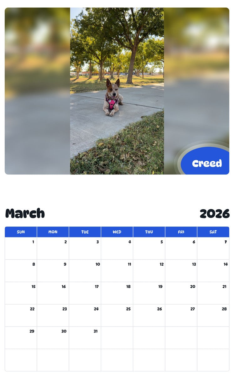 November 2025 - October 2026 Creed - Pawidols Pet Calendar