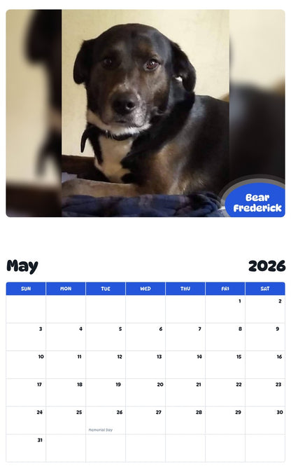 2026 - 2027 Bear Frederick - Pawidols Pet Calendar