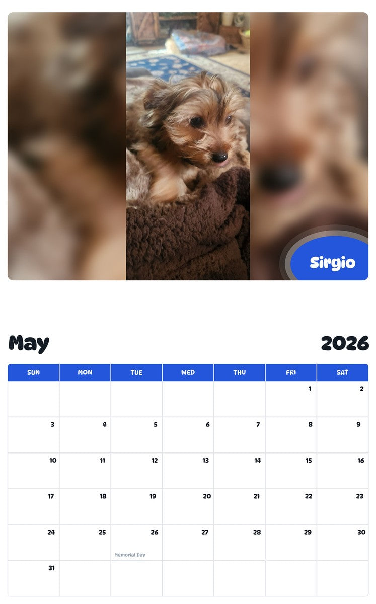 2026 - 2027 Sirgio - Pawidols Pet Calendar
