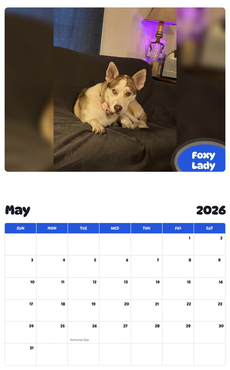 2026 - 2027 Foxy Lady - Pawidols Pet Calendar