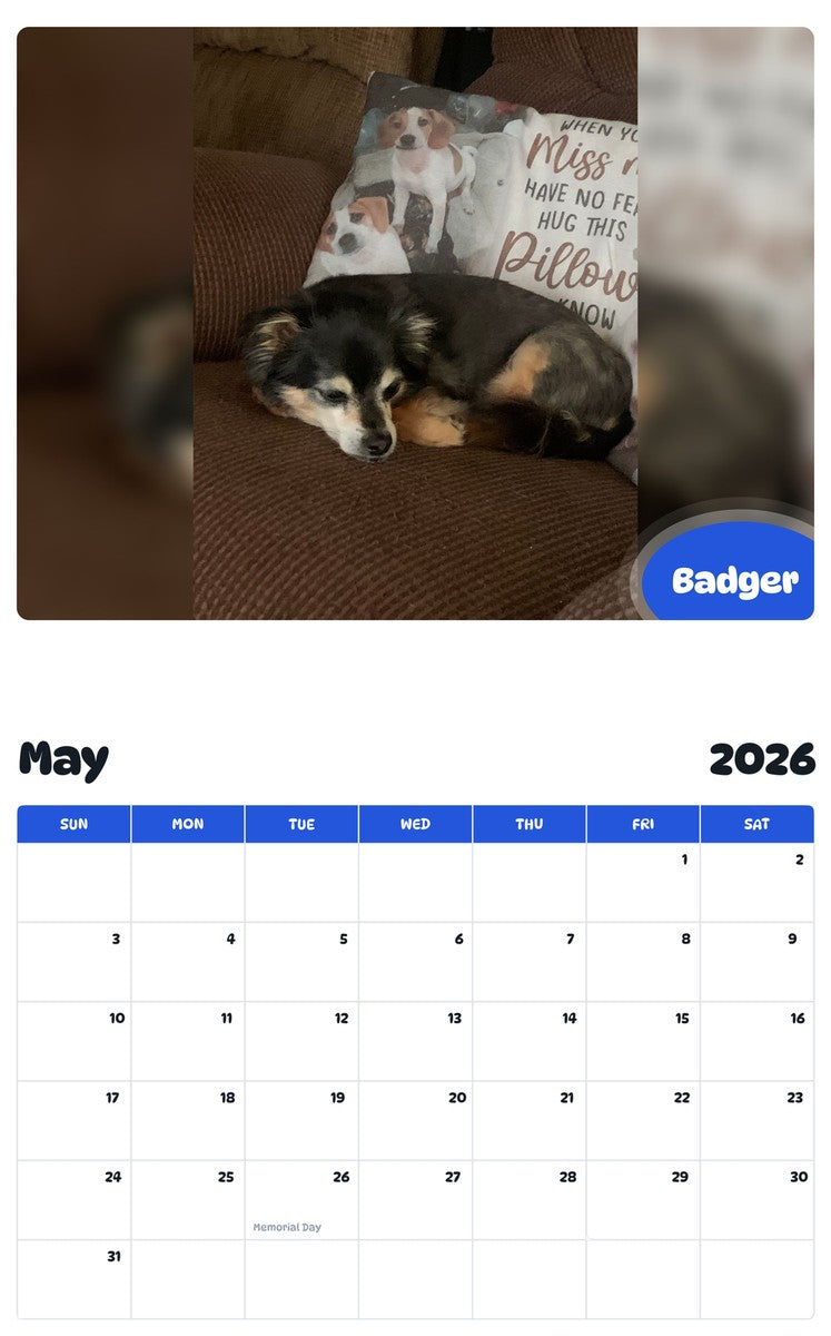 2026 - 2027 Badger - Pawidols Pet Calendar