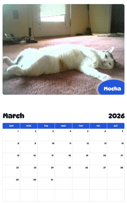 November 2025 - October 2026 Mocha - Pawidols Pet Calendar