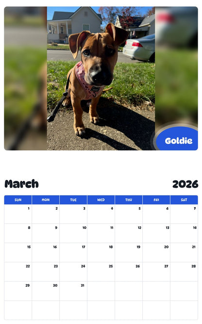 November 2025 - October 2026 Goldie - Pawidols Pet Calendar