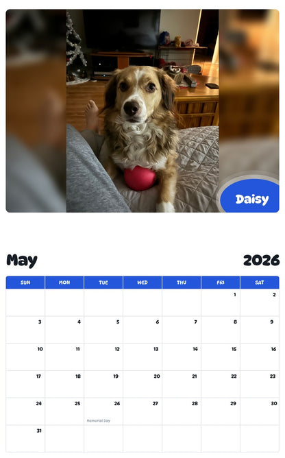 2026 - 2027 Daisy - Pawidols Pet Calendar