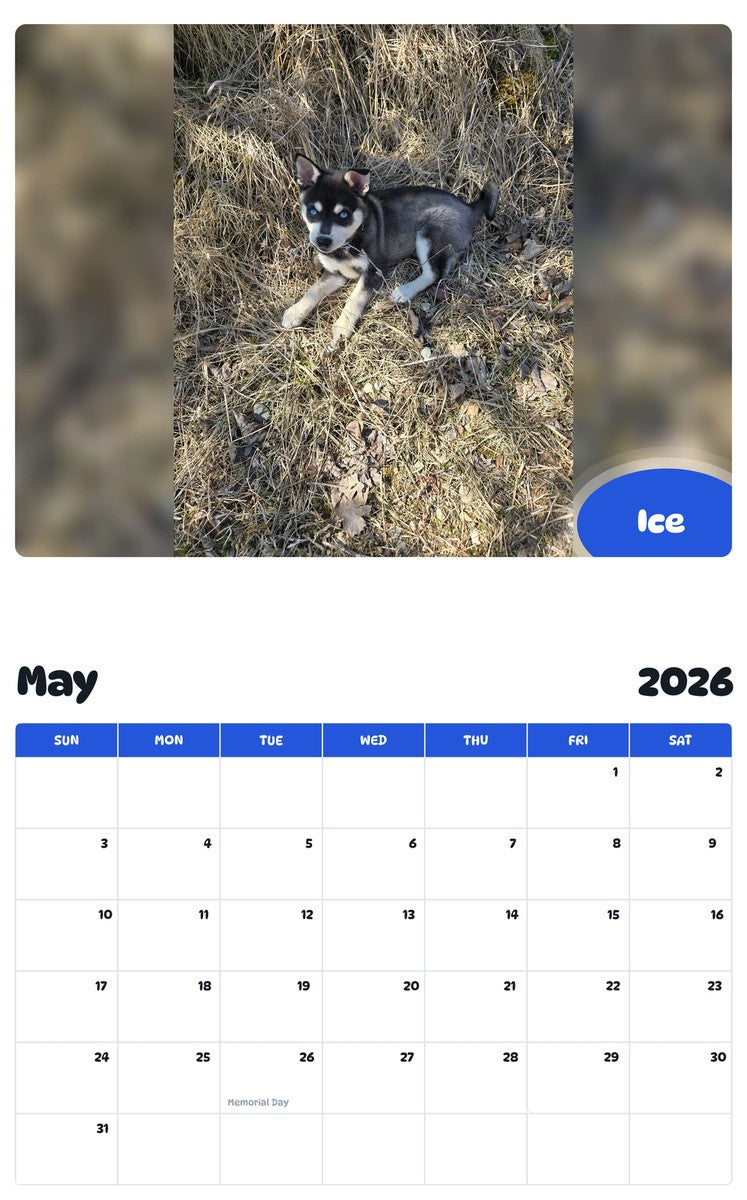 2026 - 2027 Ice - Pawidols Pet Calendar