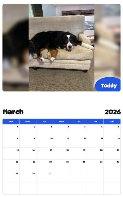 November 2025 - October 2026 Teddy - Pawidols Pet Calendar