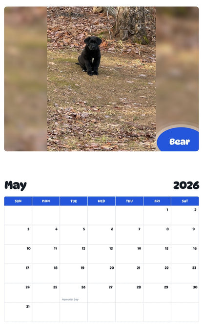 2026 - 2027 Bear - Pawidols Pet Calendar
