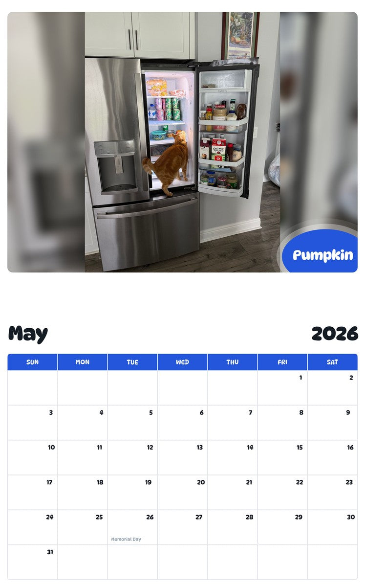 2026 - 2027 Pumpkin - Pawidols Pet Calendar
