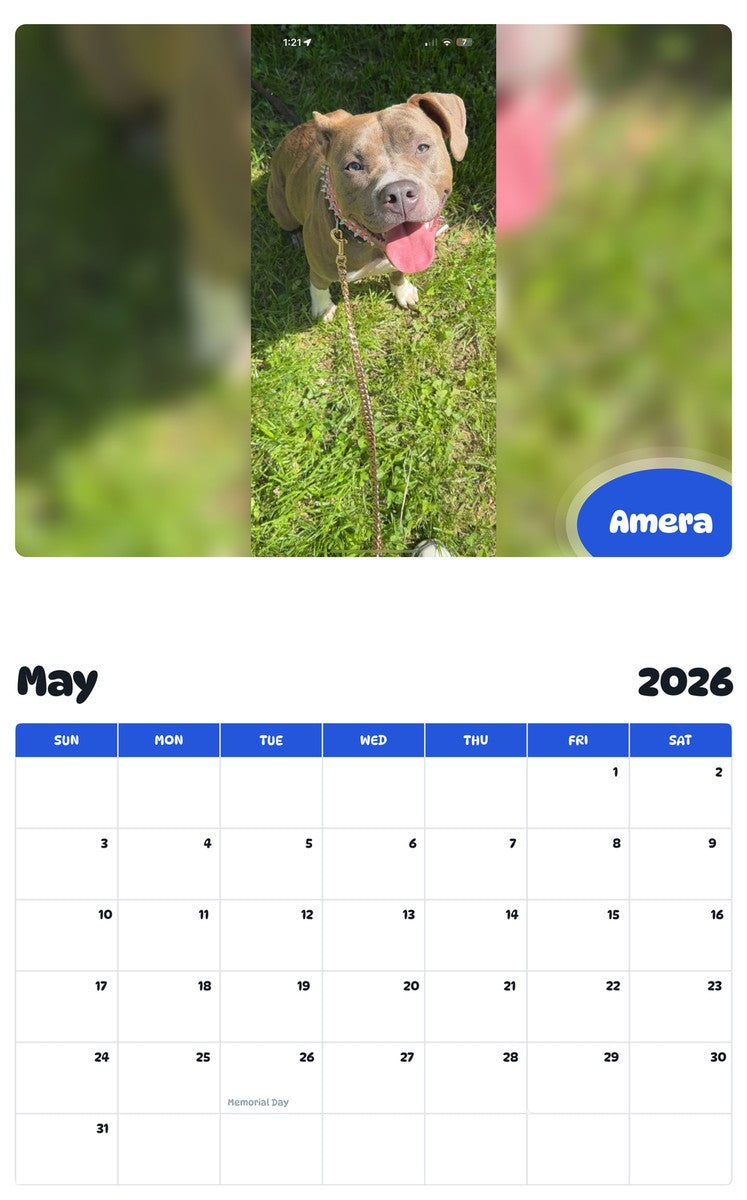 2026 - 2027 Amera - Pawidols Pet Calendar