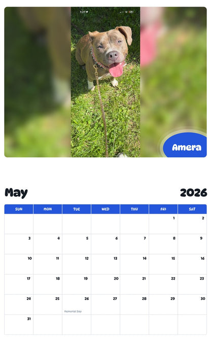 2026 - 2027 Amera - Pawidols Pet Calendar