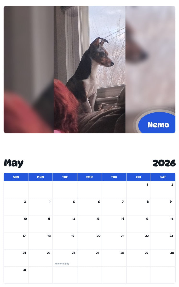 2026 - 2027 Nemo - Pawidols Pet Calendar
