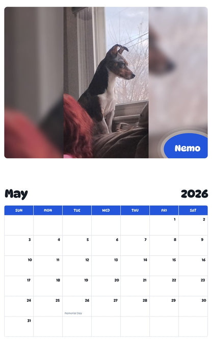 2026 - 2027 Nemo - Pawidols Pet Calendar