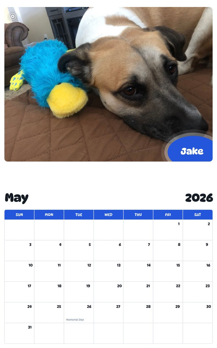 2026 - 2027 Jake - Pawidols Pet Calendar