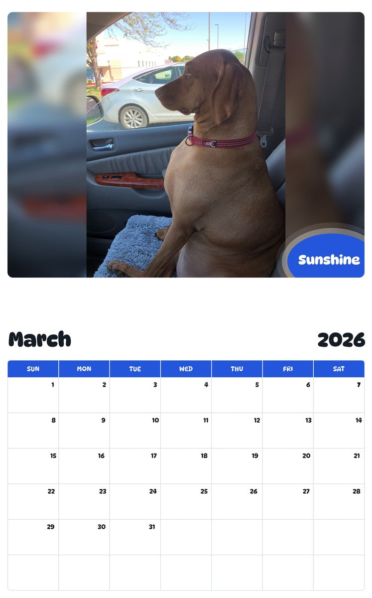 November 2025 - October 2026 Sunshine - Pawidols Pet Calendar