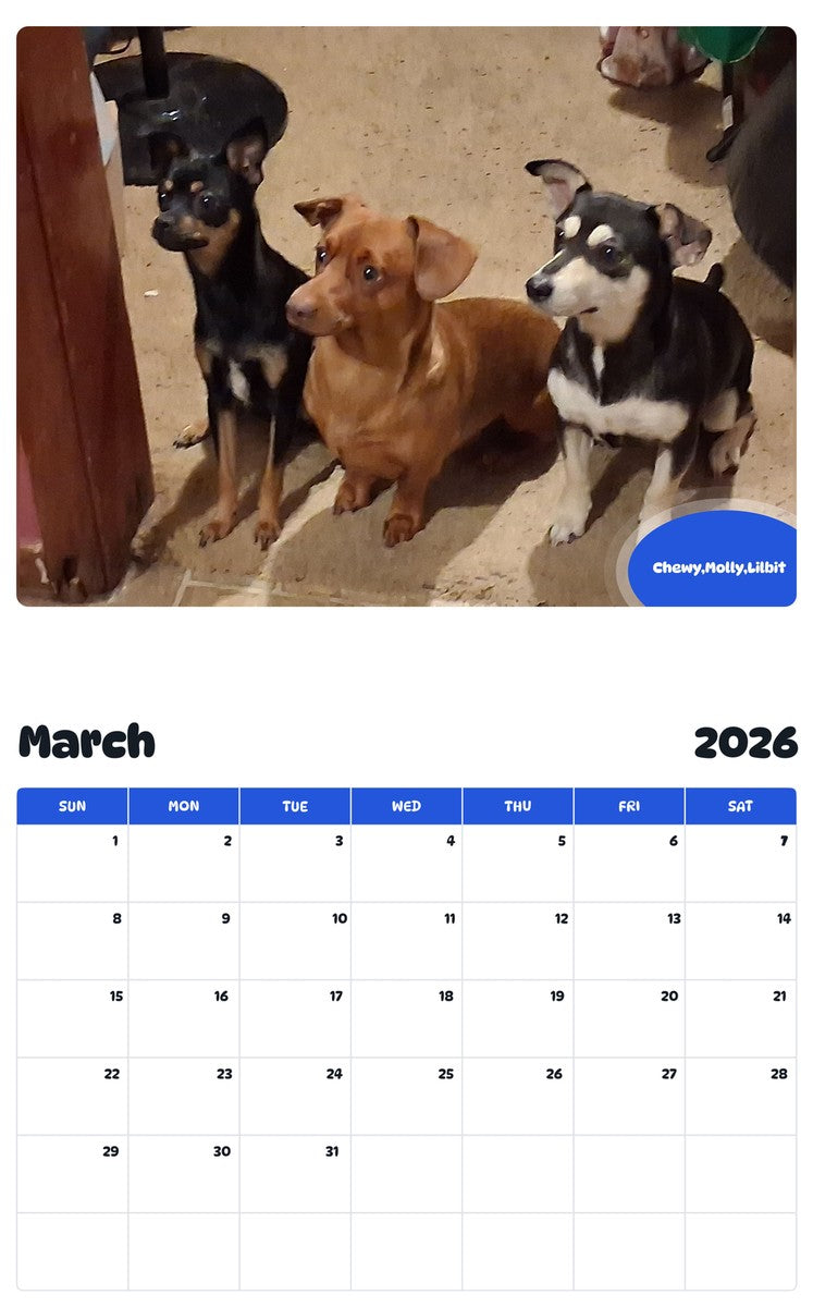 November 2025 - October 2026 Chewy,Molly,Lilbit - Pawidols Pet Calendar
