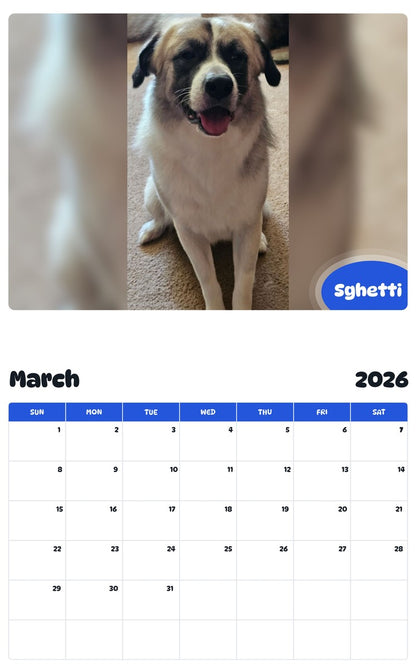 November 2025 - October 2026 Sghetti - Pawidols Pet Calendar