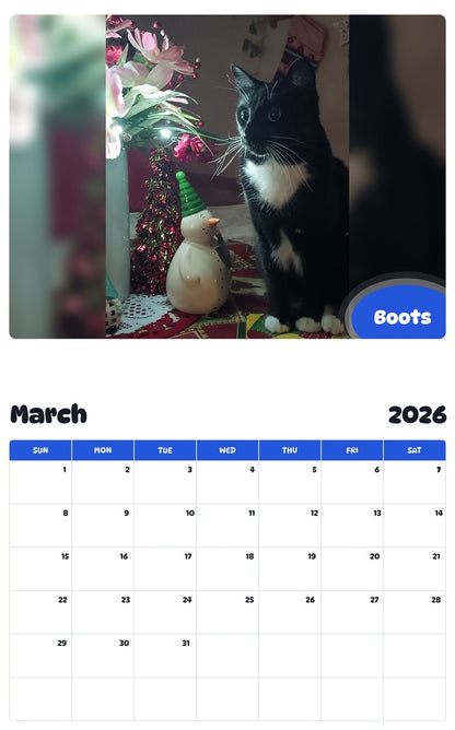 November 2025 - October 2026 Boots - Pawidols Pet Calendar
