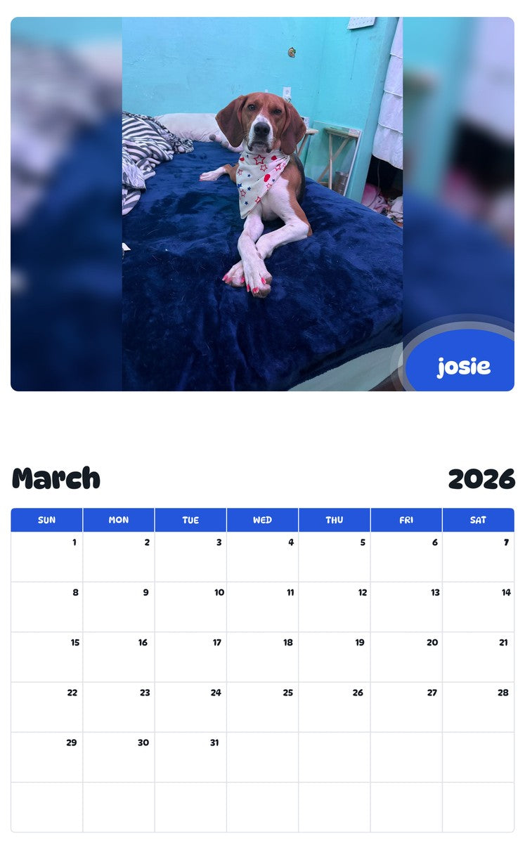November 2025 - October 2026 josie - Pawidols Pet Calendar