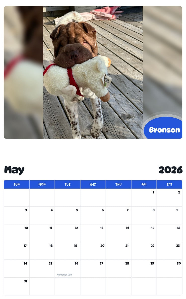2026 - 2027 Bronson - Pawidols Pet Calendar
