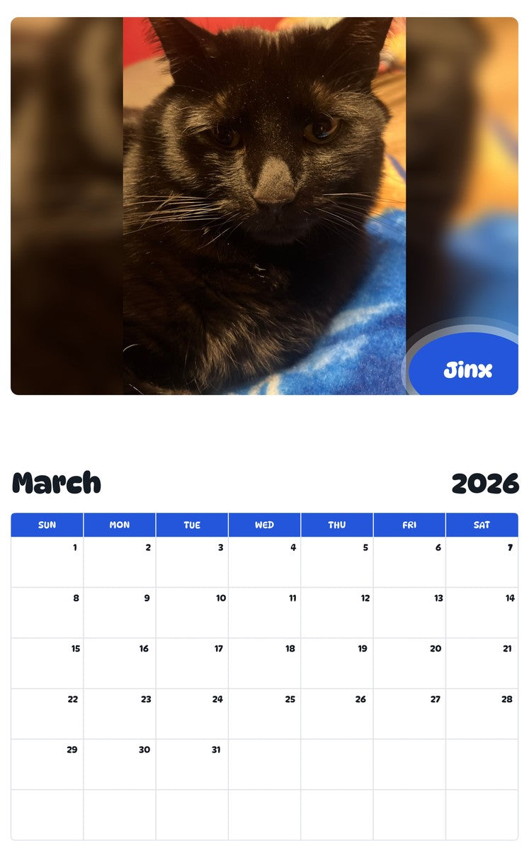 November 2025 - October 2026 Jinx - Pawidols Pet Calendar