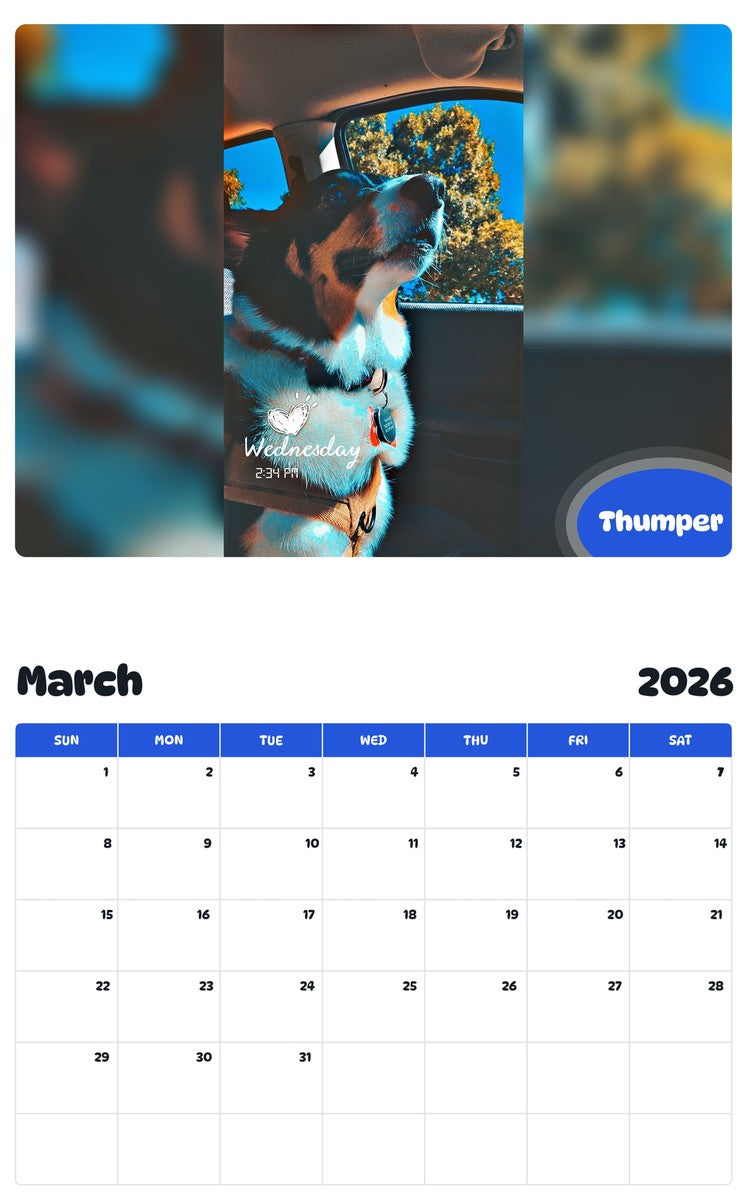 November 2025 - October 2026 Thumper - Pawidols Pet Calendar