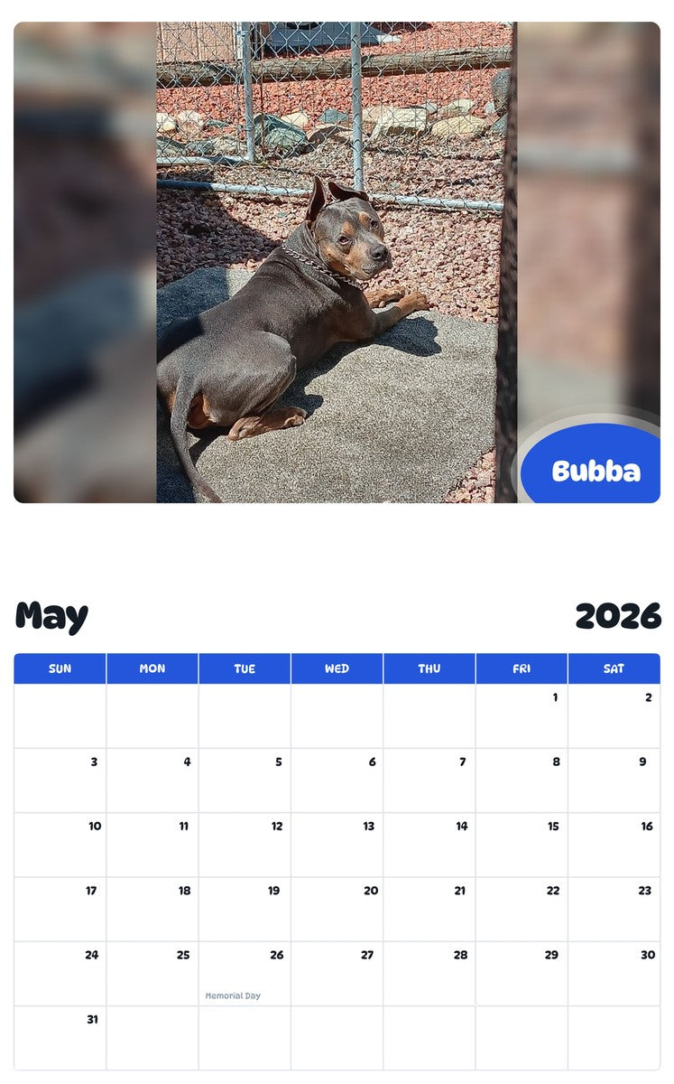 2026 - 2027 Bubba - Pawidols Pet Calendar