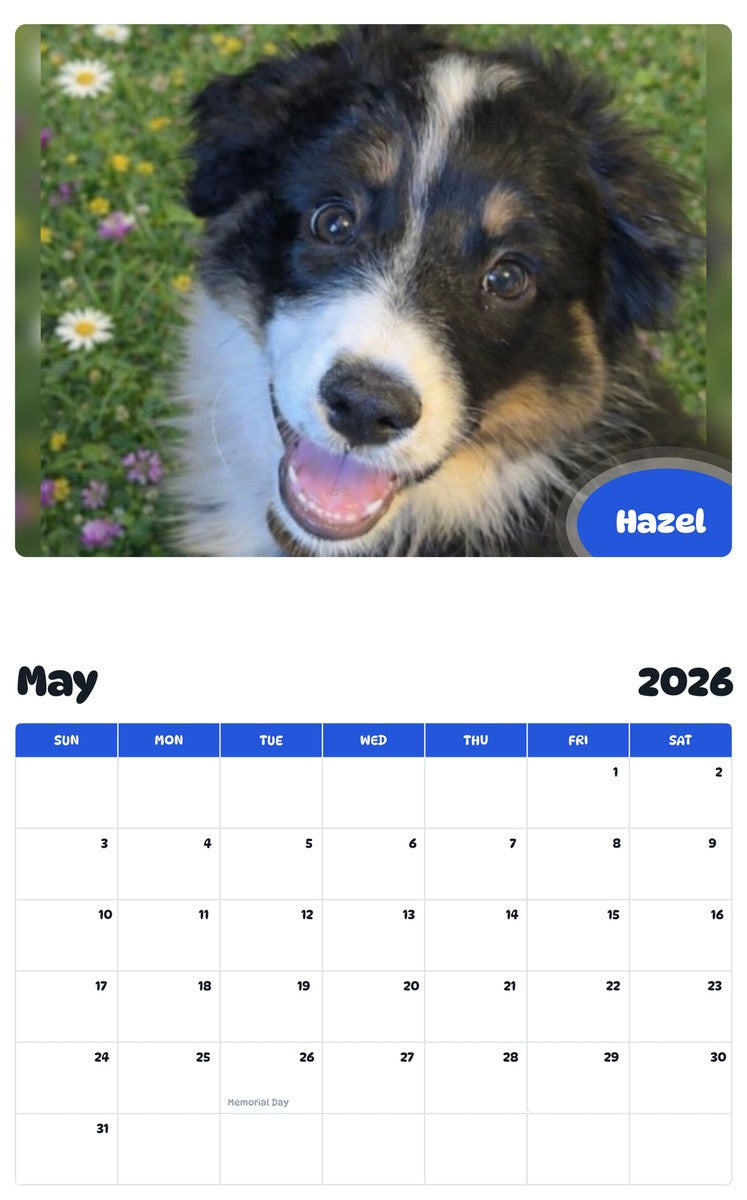2026 - 2027 Hazel - Pawidols Pet Calendar