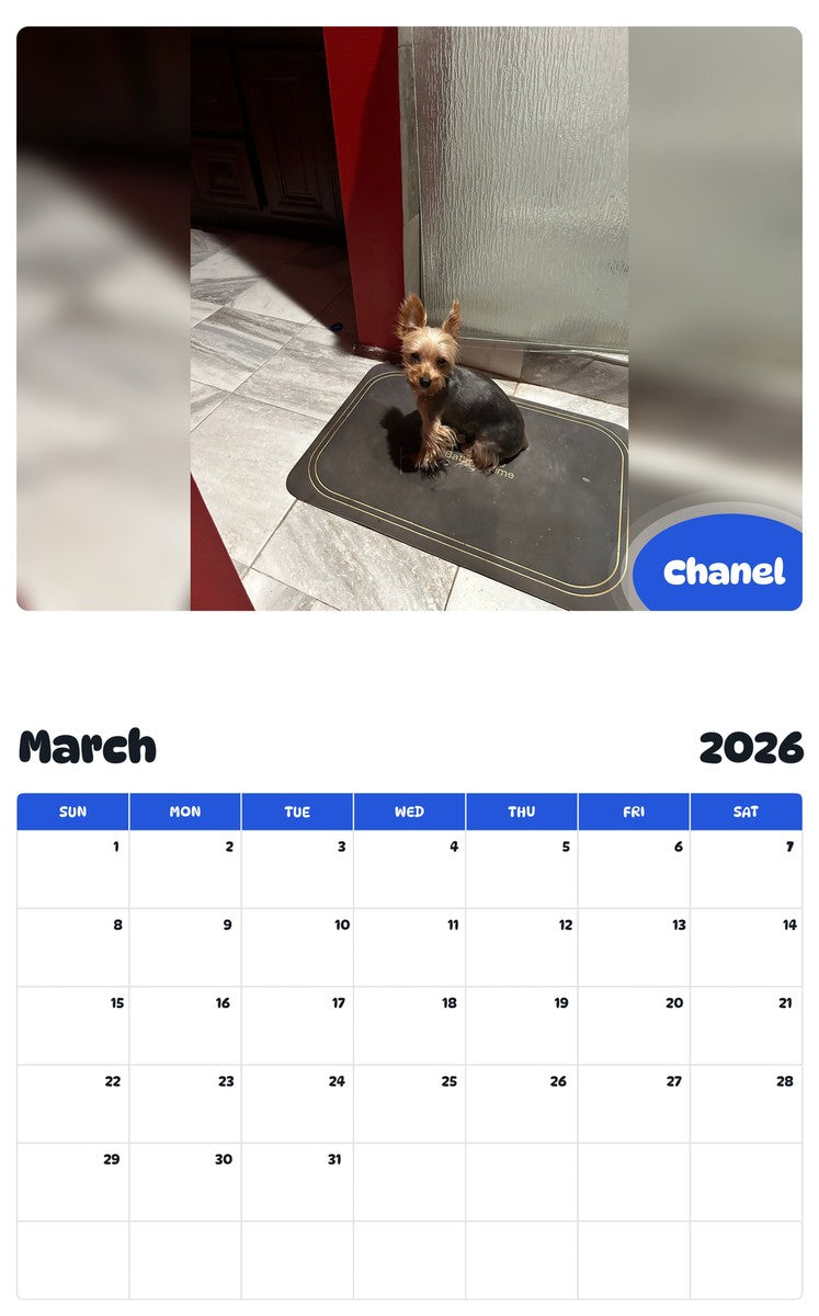 November 2025 - October 2026 Chanel - Pawidols Pet Calendar