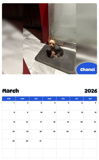 November 2025 - October 2026 Chanel - Pawidols Pet Calendar