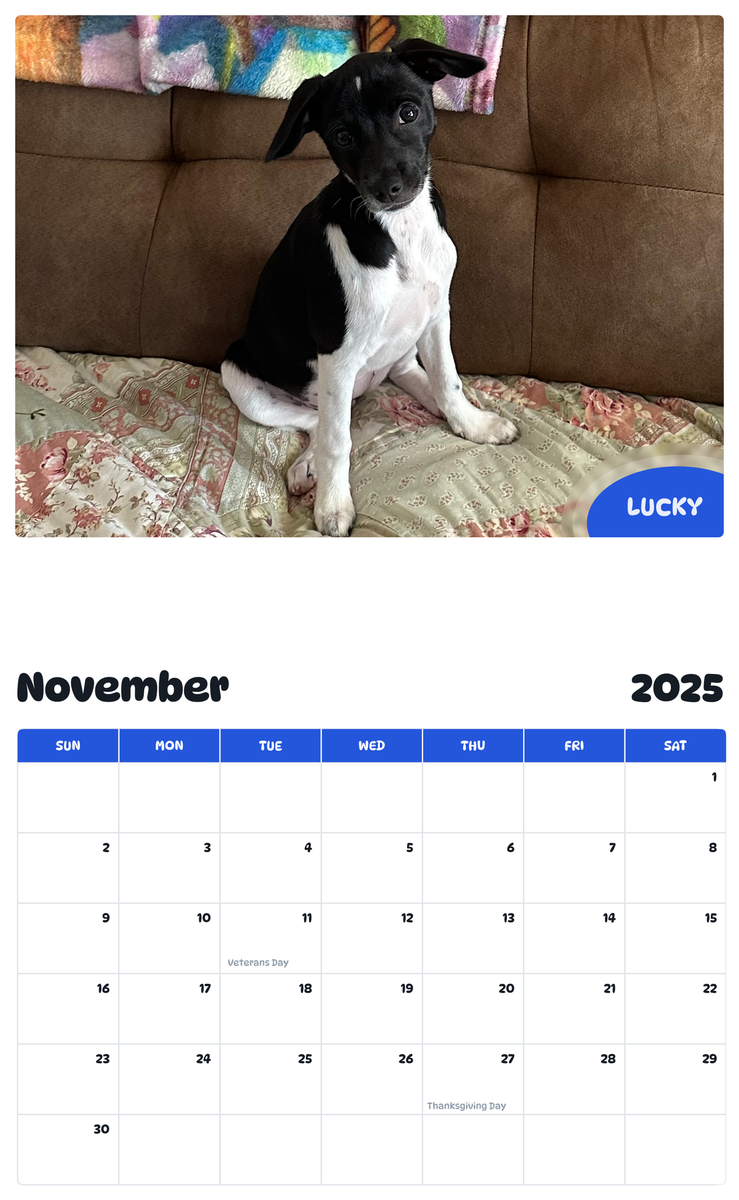 July 2025 - June 2026 Lucky - Pawidols Pet Calendar