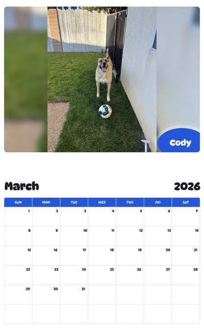 November 2025 - October 2026 Cody - Pawidols Pet Calendar