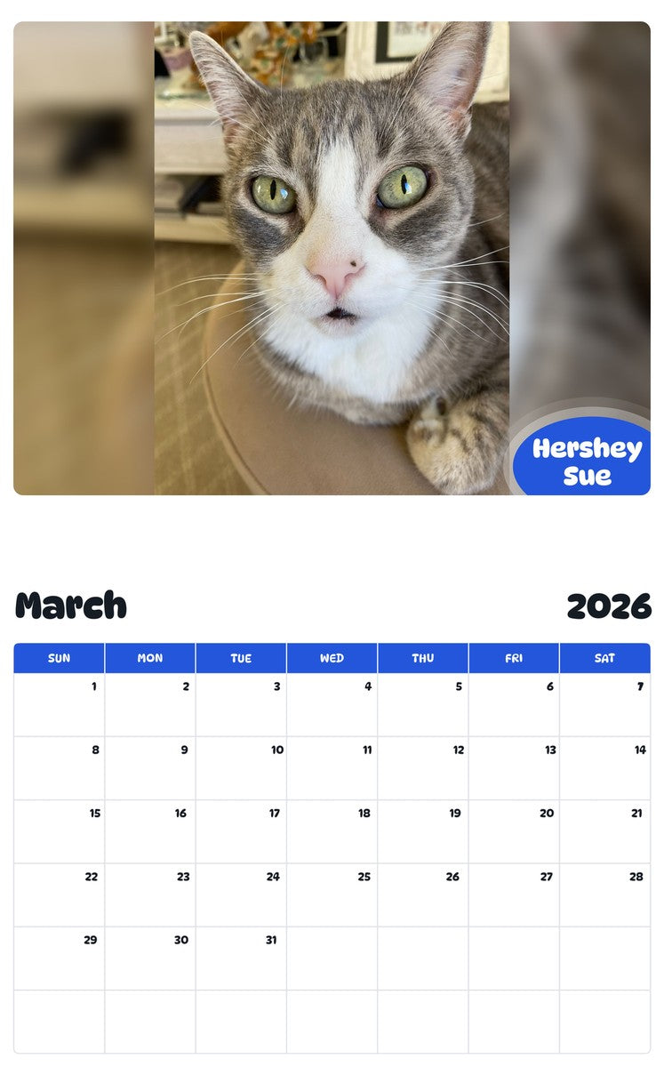November 2025 - October 2026 Hershey Sue - Pawidols Pet Calendar