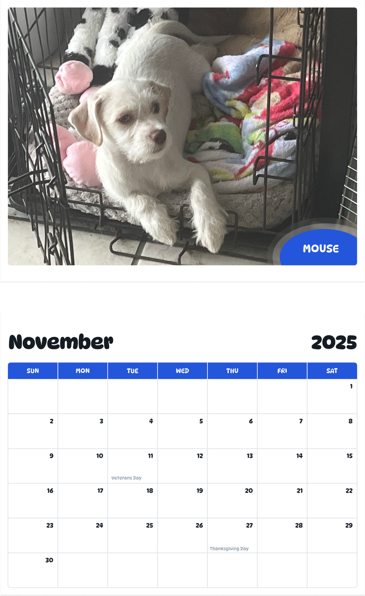 July 2025 - June 2026 Mouse - Pawidols Pet Calendar