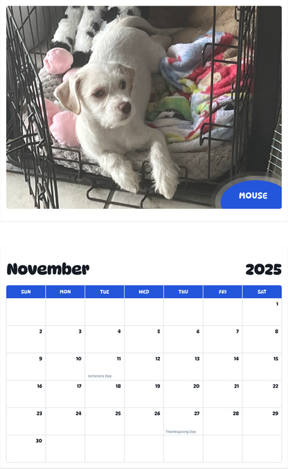 July 2025 - June 2026 Mouse - Pawidols Pet Calendar