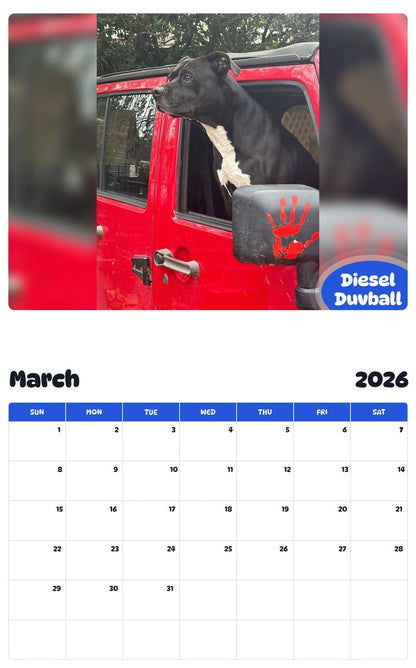 November 2025 - October 2026 Diesel Duvball - Pawidols Pet Calendar
