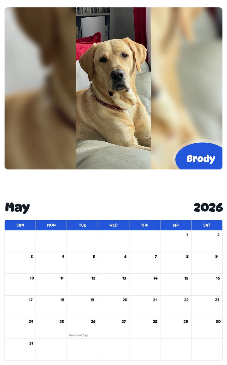 2026 - 2027 Brody - Pawidols Pet Calendar