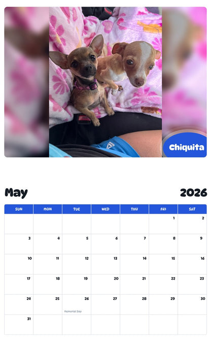 2026 - 2027 Chiquita - Pawidols Pet Calendar