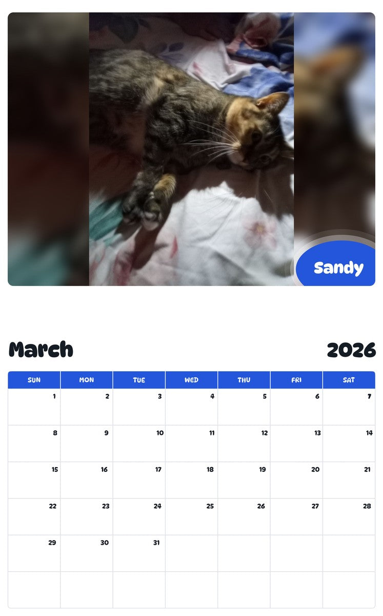 November 2025 - October 2026 Sandy - Pawidols Pet Calendar