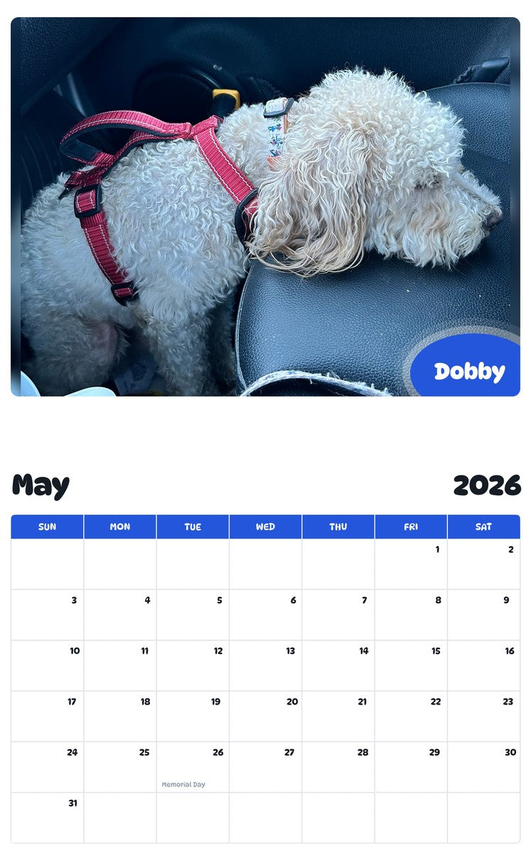 2026 - 2027 Dobby - Pawidols Pet Calendar