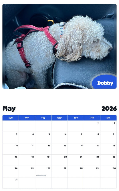 2026 - 2027 Dobby - Pawidols Pet Calendar
