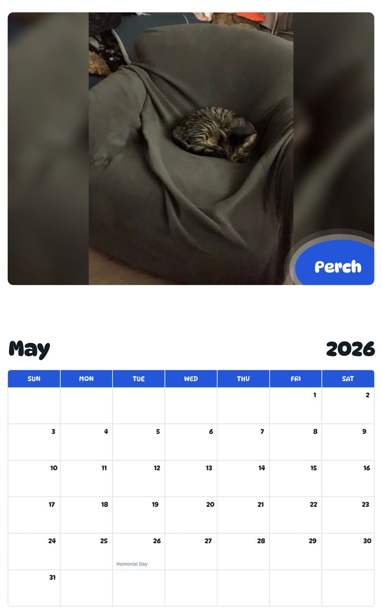 2026 - 2027 Perch - Pawidols Pet Calendar