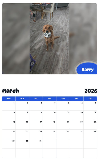 November 2025 - October 2026 Harry - Pawidols Pet Calendar