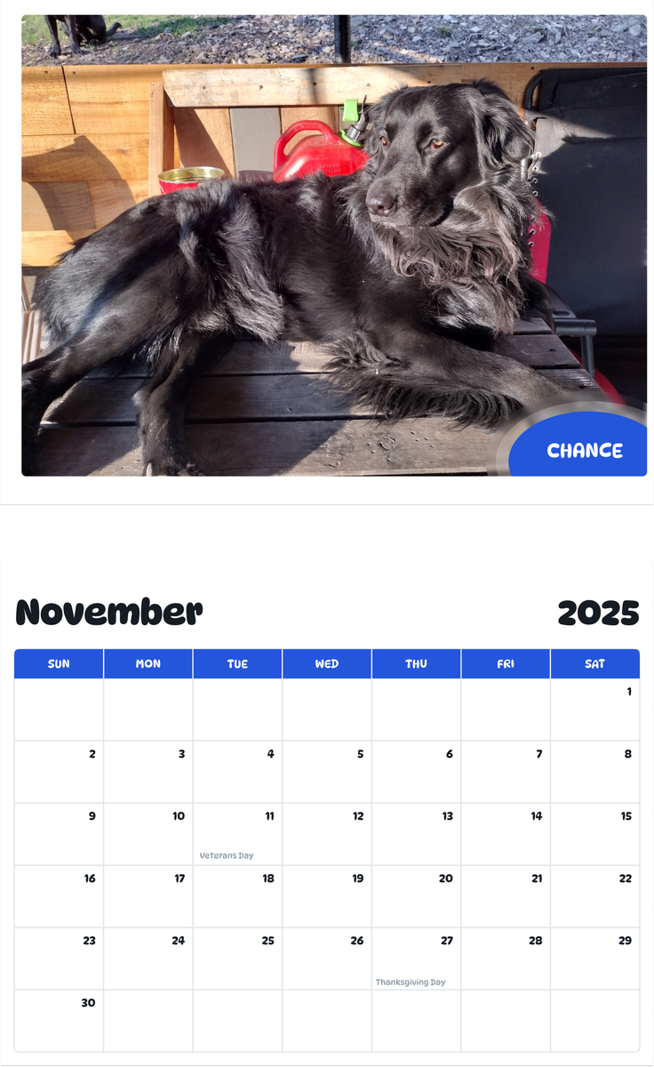 July 2025 - June 2026 Chance - Pawidols Pet Calendar